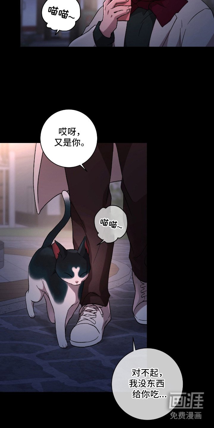 第17章：隐藏情绪