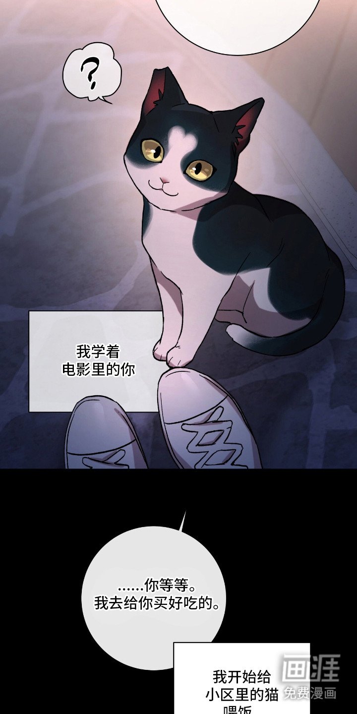 第17章：隐藏情绪