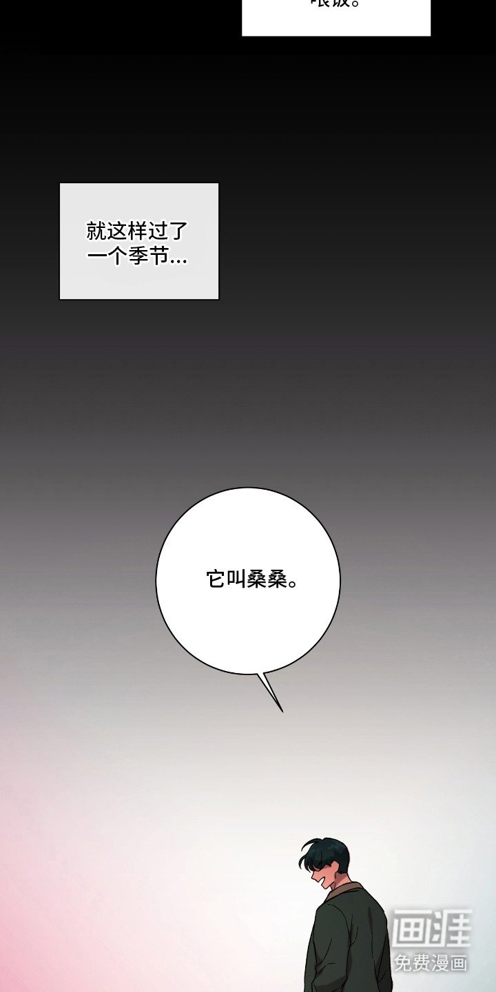 第17章：隐藏情绪