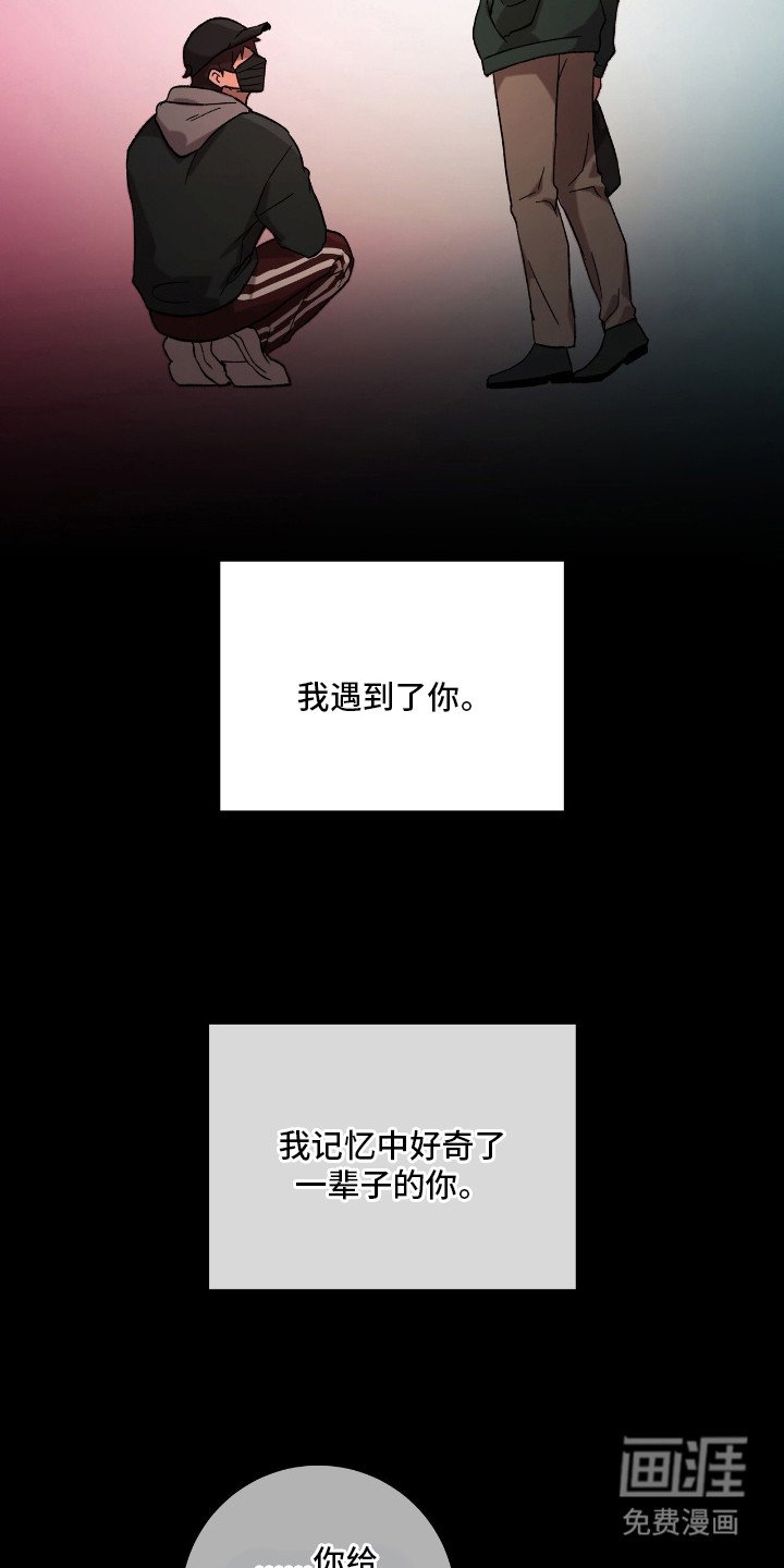 第17章：隐藏情绪