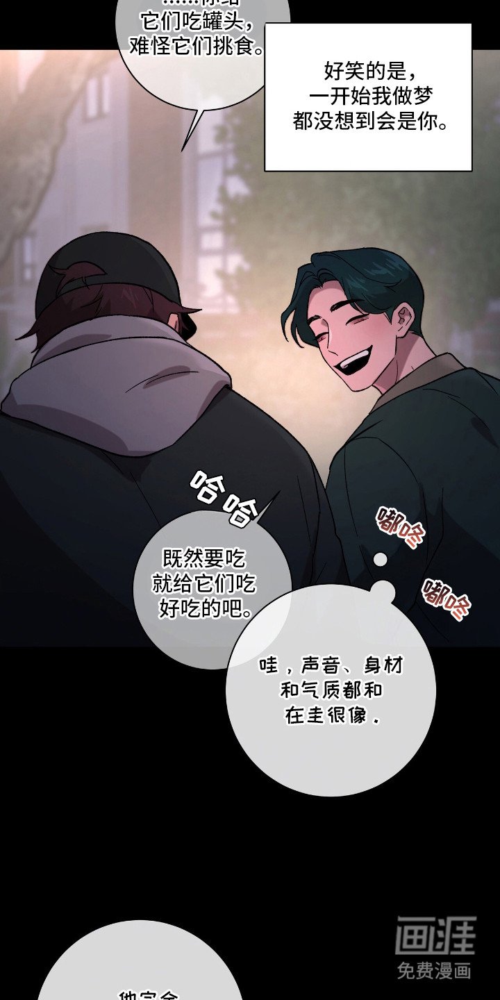 第17章：隐藏情绪