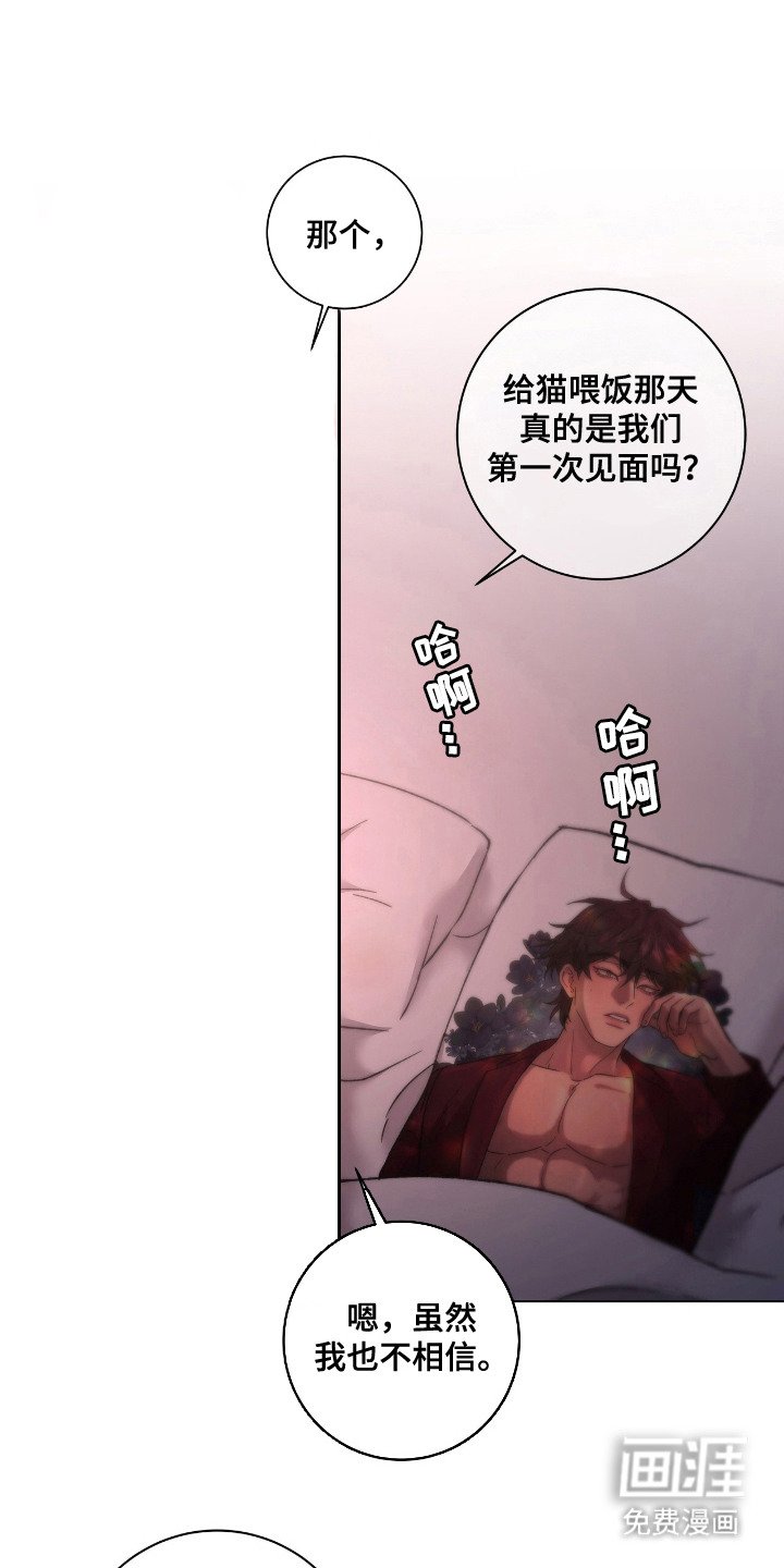 第20章：庆幸