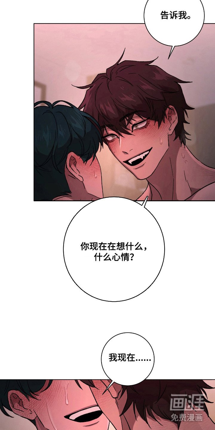 第21章：爱情片