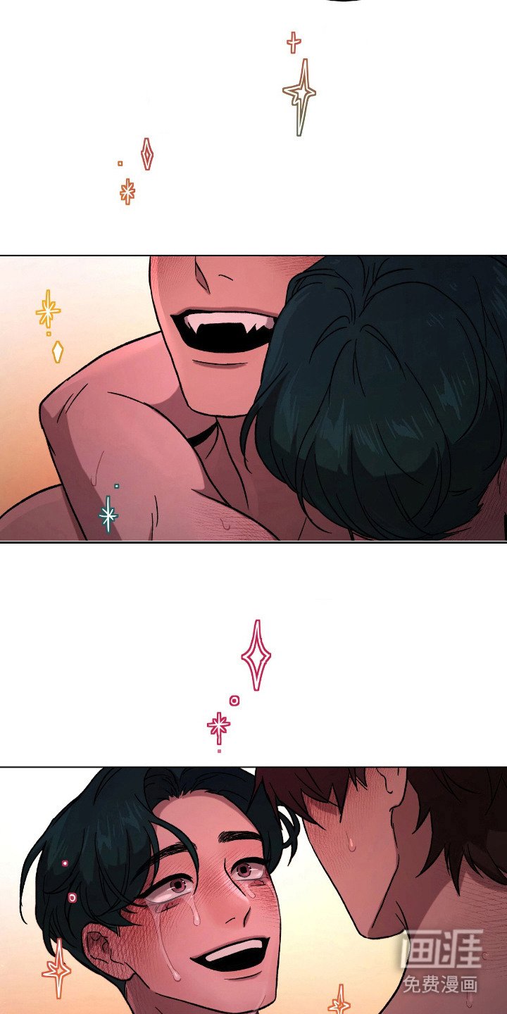 第21章：爱情片