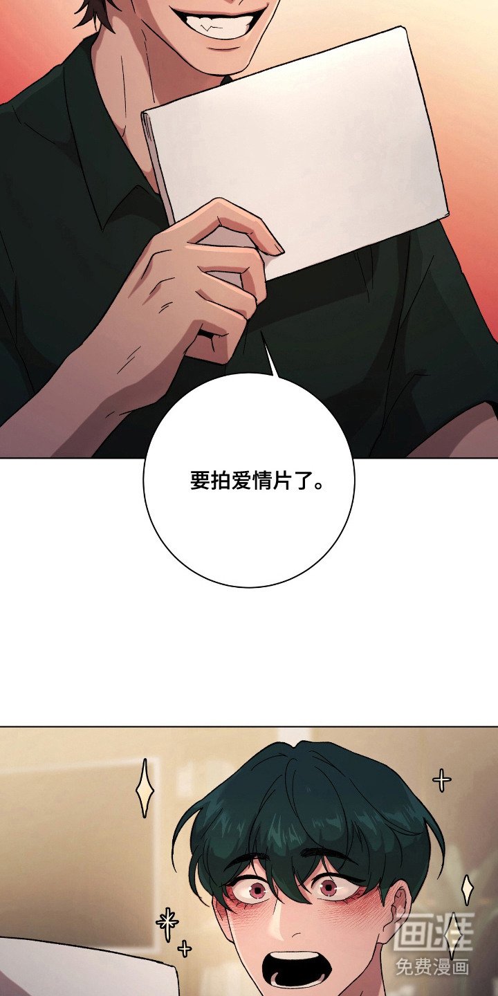 第21章：爱情片
