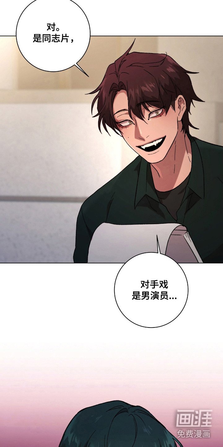 第21章：爱情片