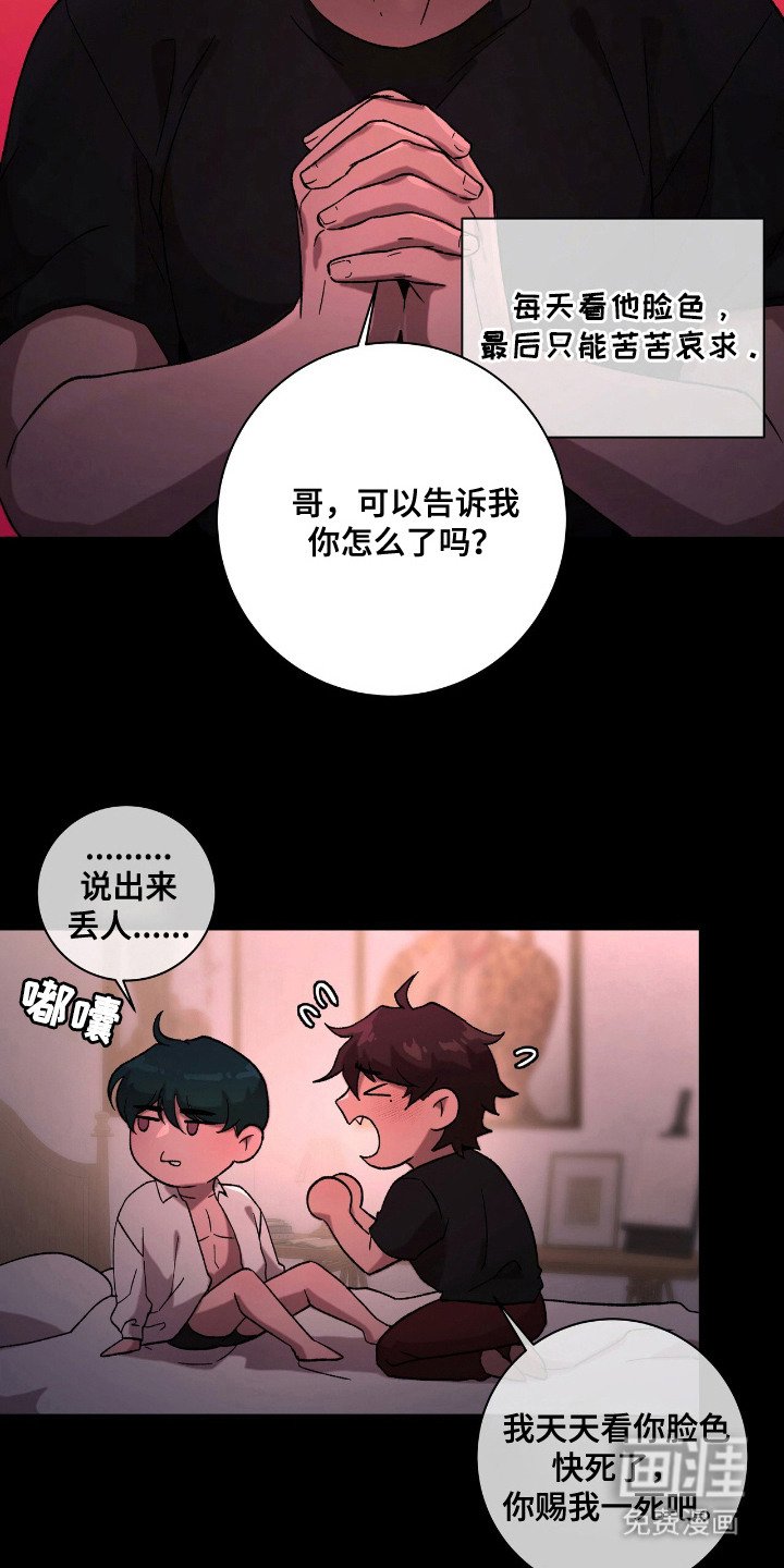 第21章：爱情片