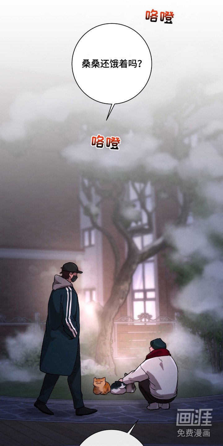 第24章：最佳男主角（完结）