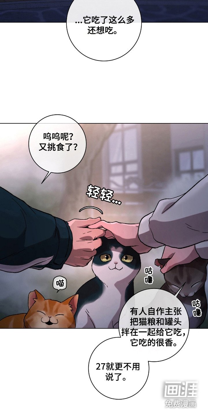 第24章：最佳男主角（完结）