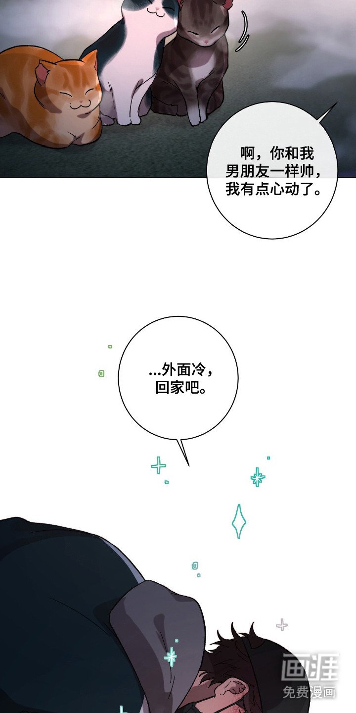 第24章：最佳男主角（完结）