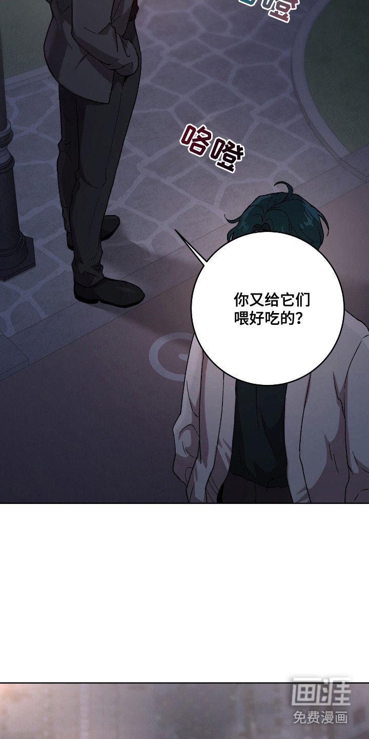 第4章：互通姓名