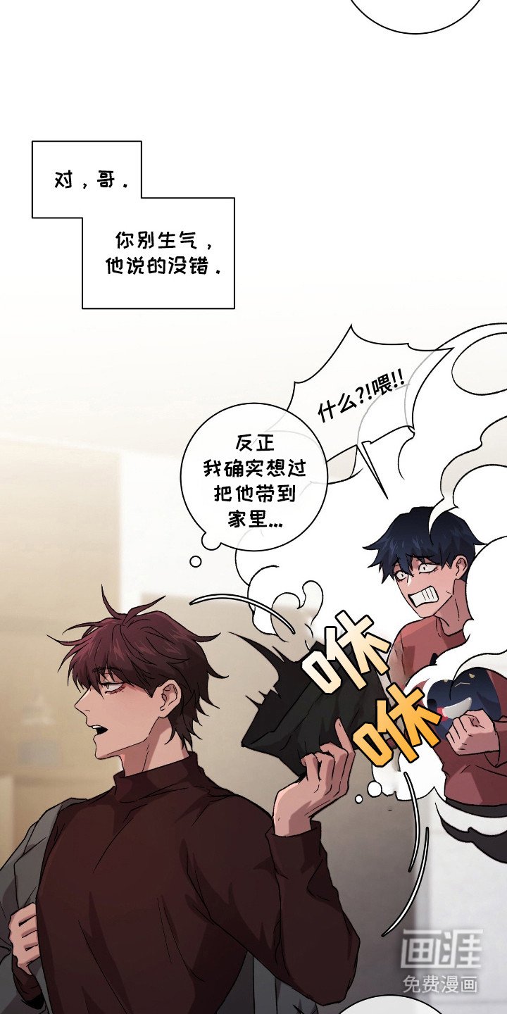 第5章：领回家