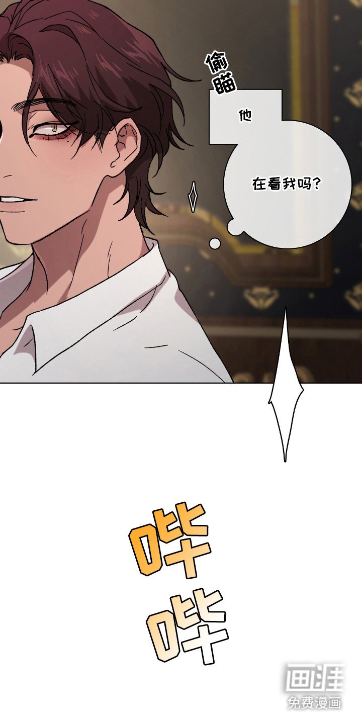 第9章：旁观