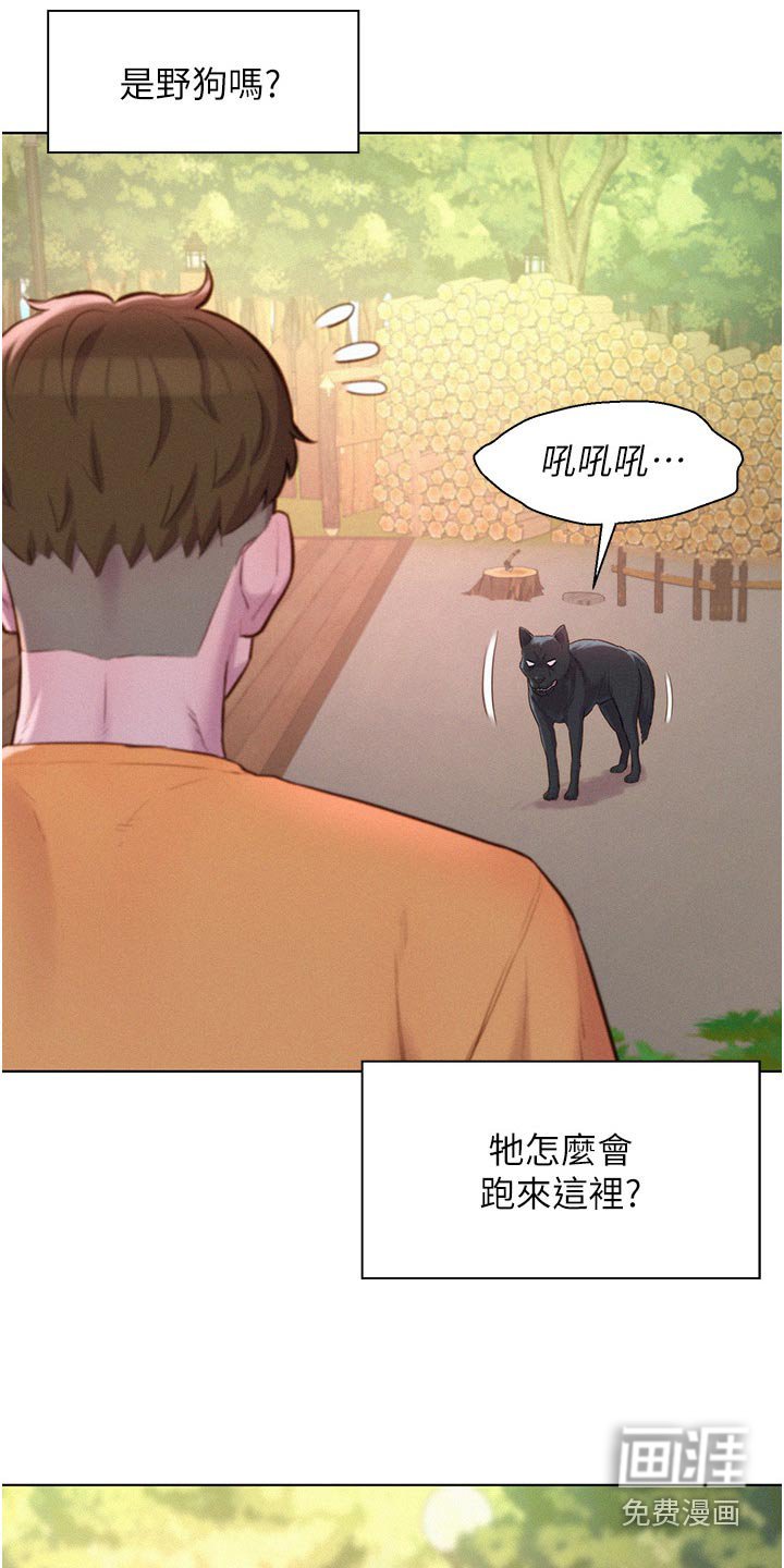 第44章：小黑