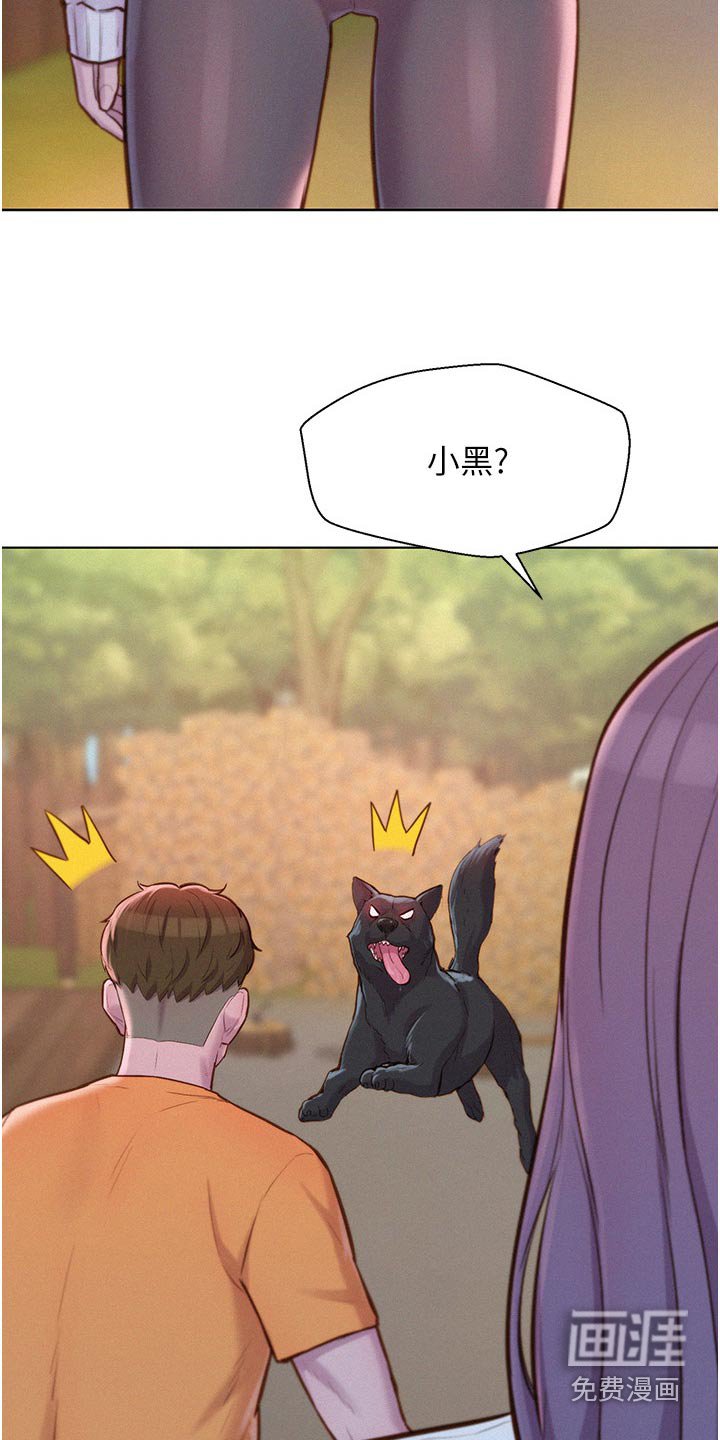 第44章：小黑