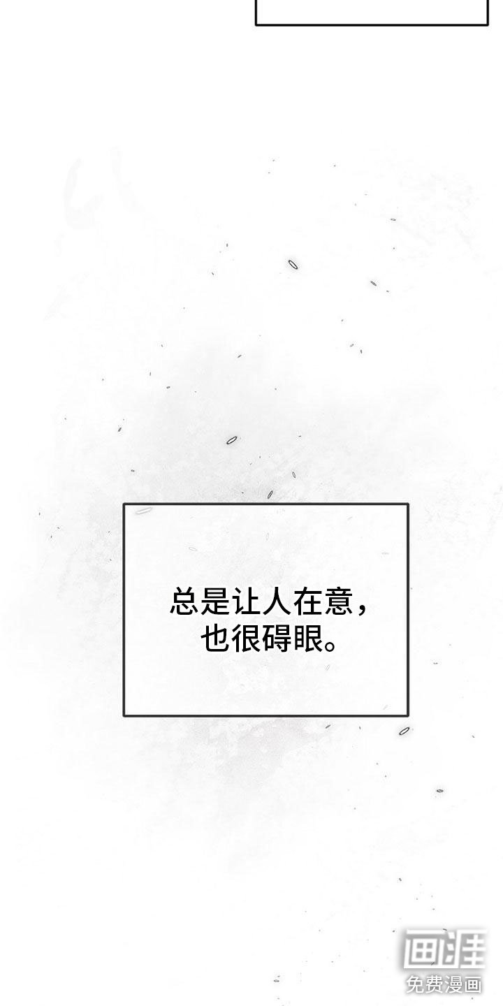 第15章：在意