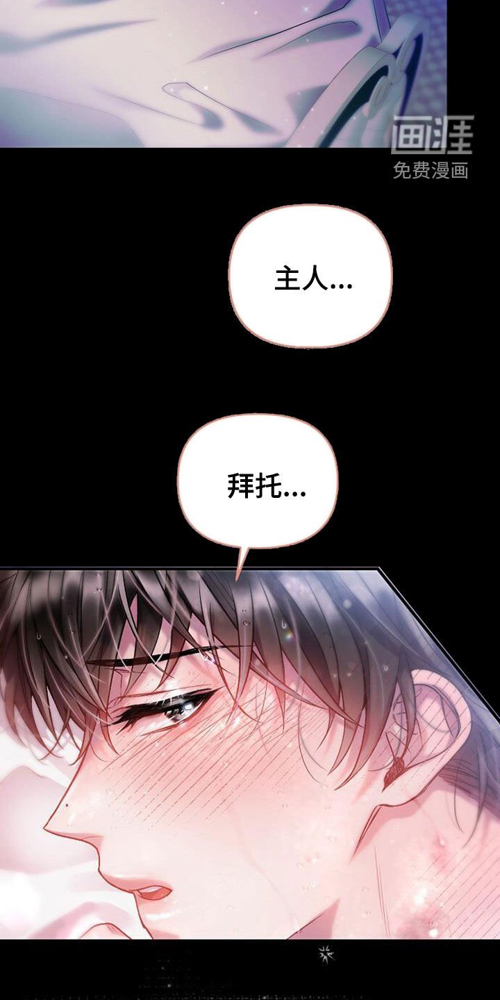 第26章：该死的