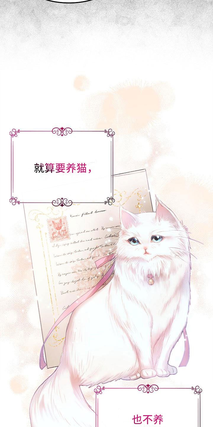 第3章：失主