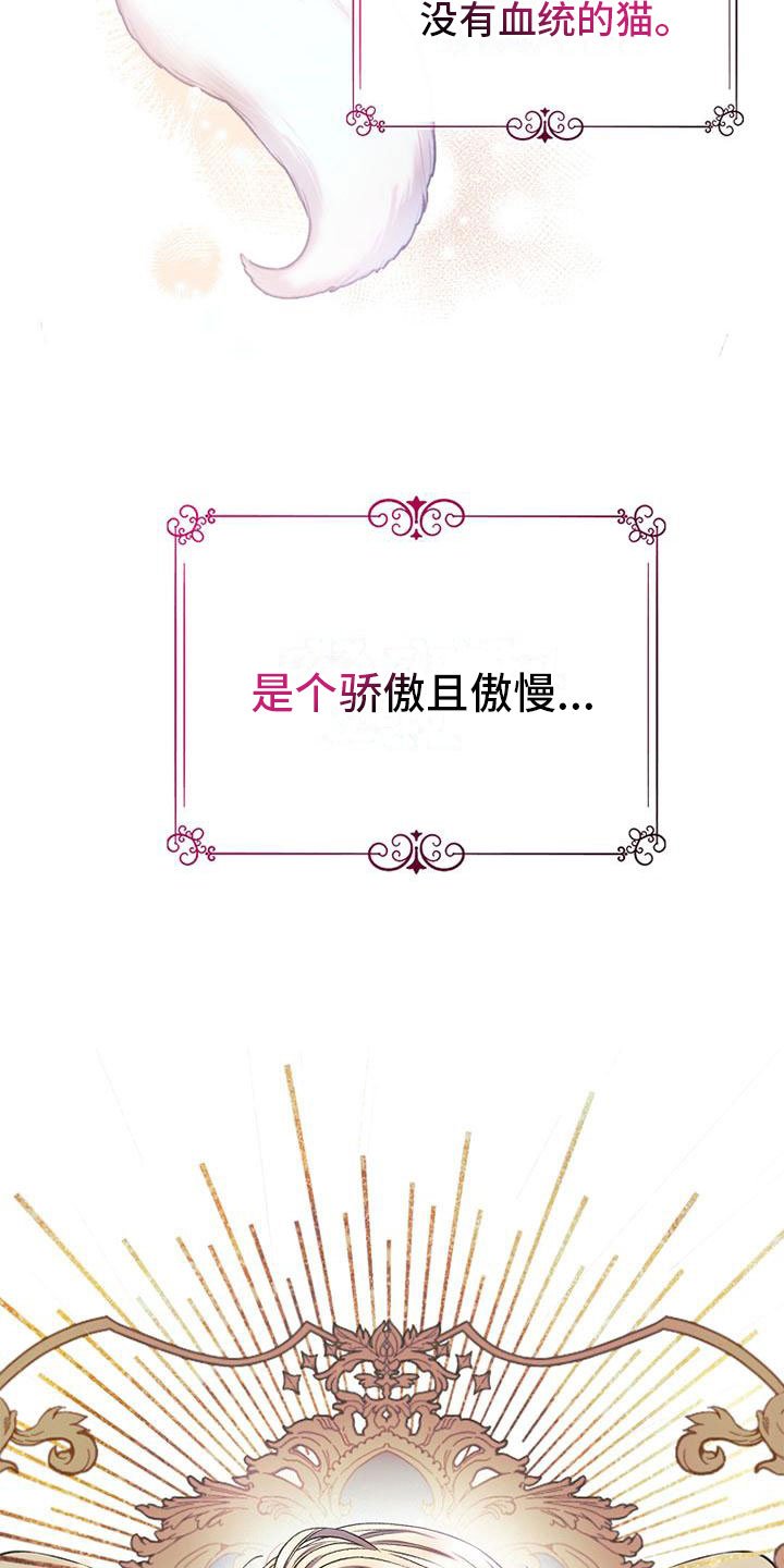 第3章：失主