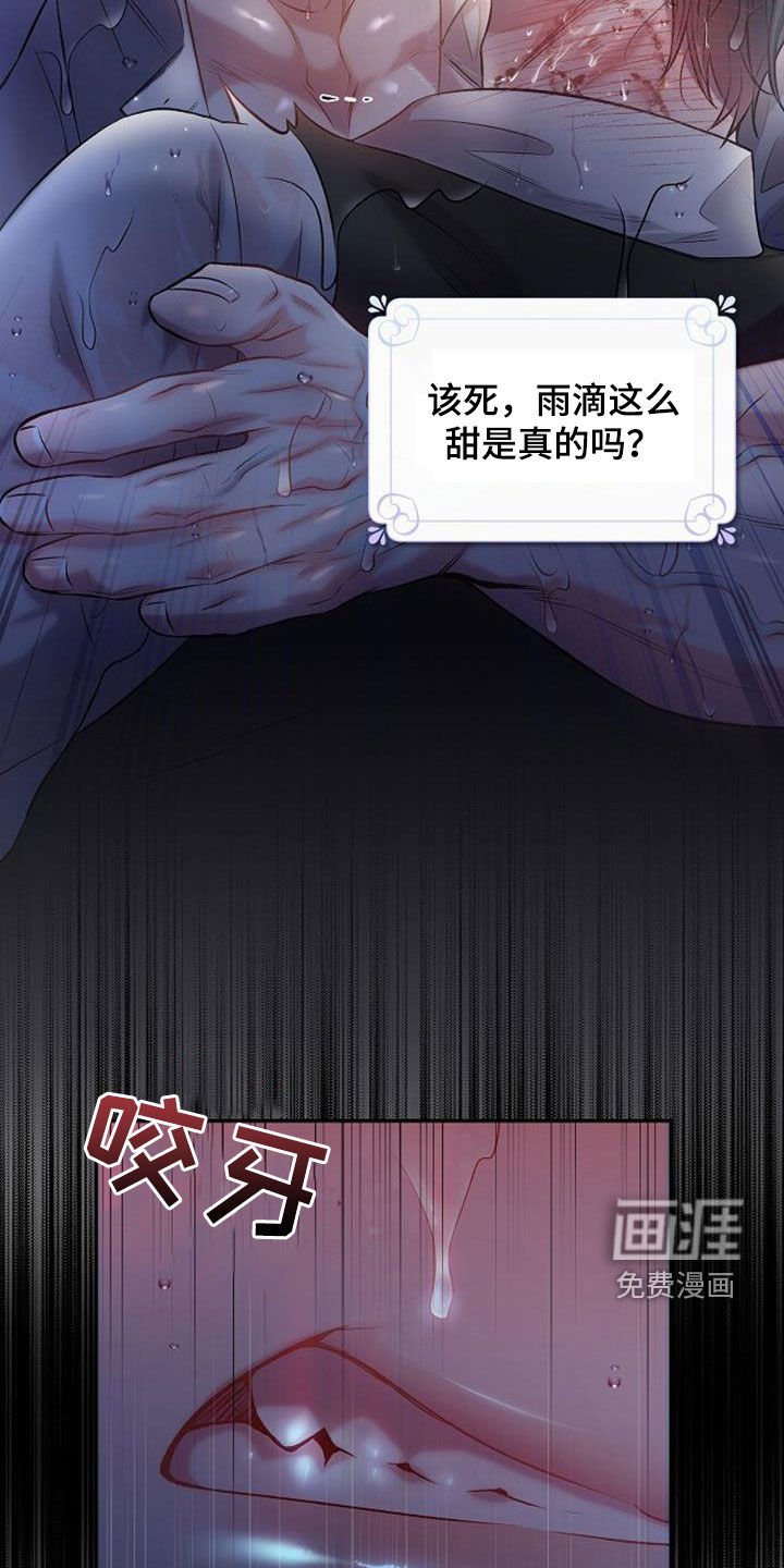 第51章：极限