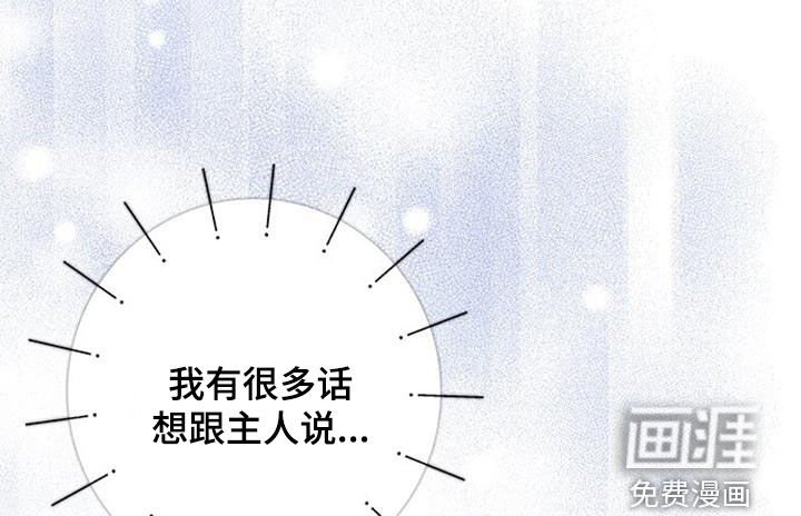 第53章：逃避