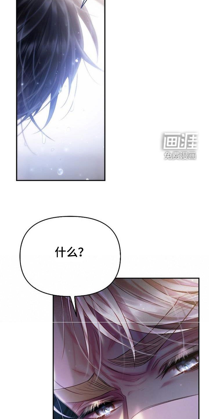 第63章：我也有话要说