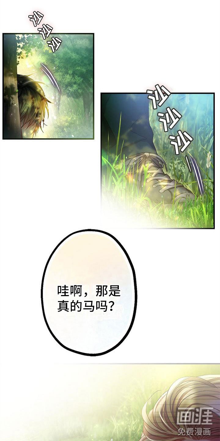 第8章：相遇