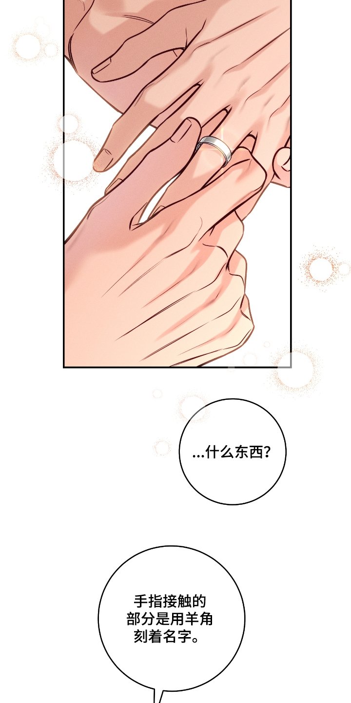 第101章：【番外完结】戒指