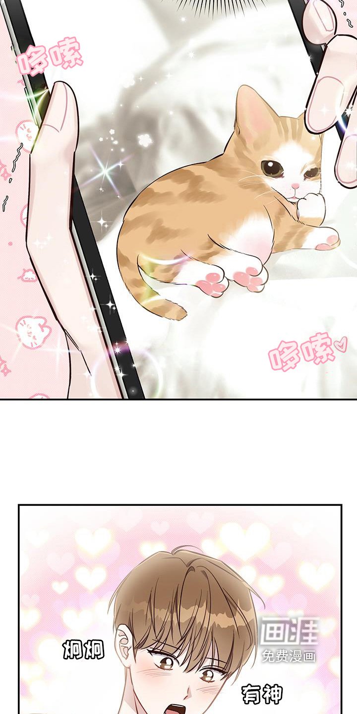 第12章：欺负