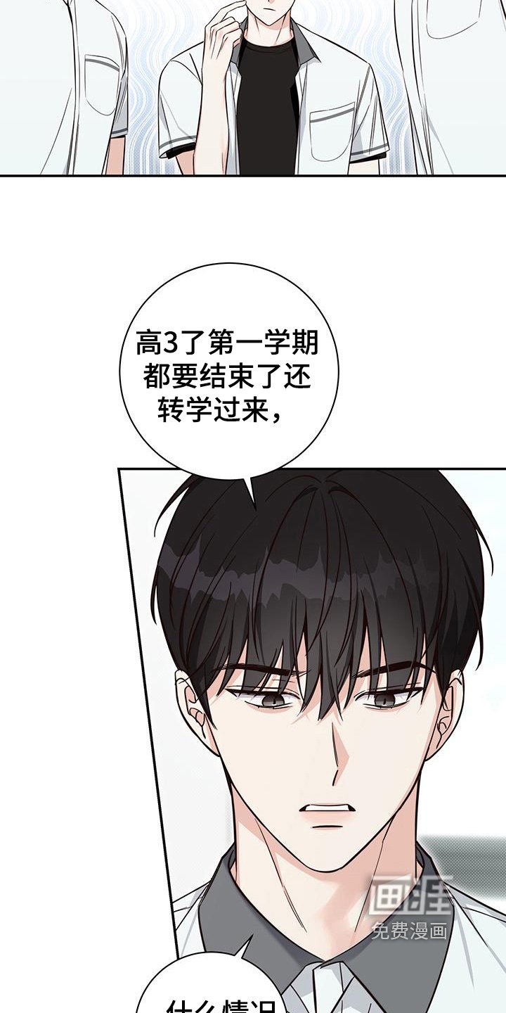 第15章：针对
