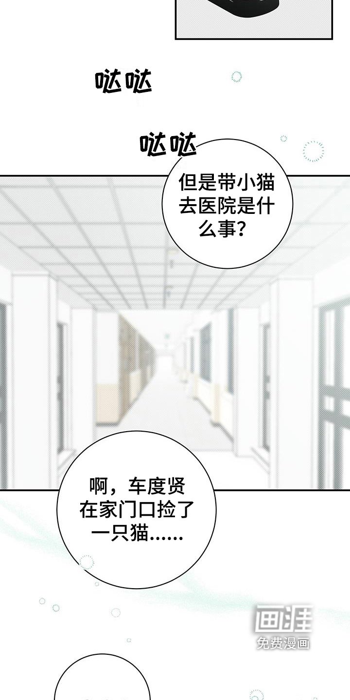 第15章：针对