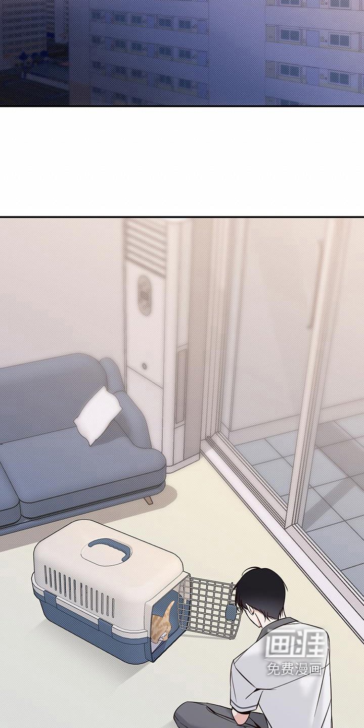 第15章：针对