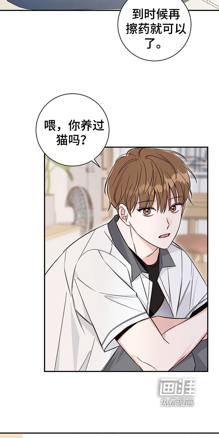 第15章：针对