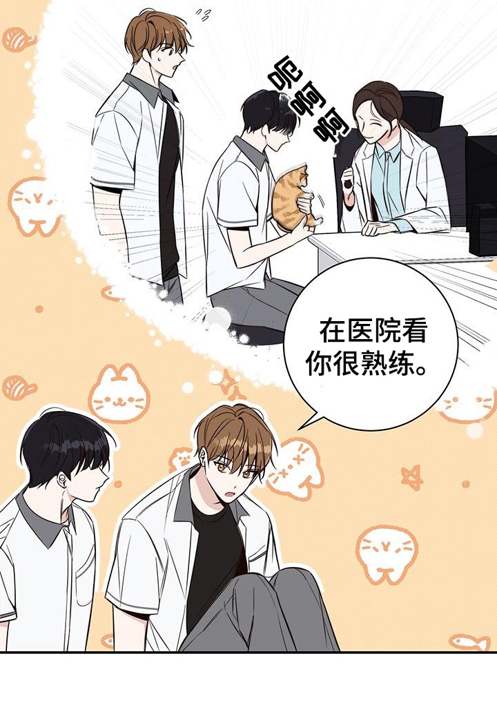 第15章：针对