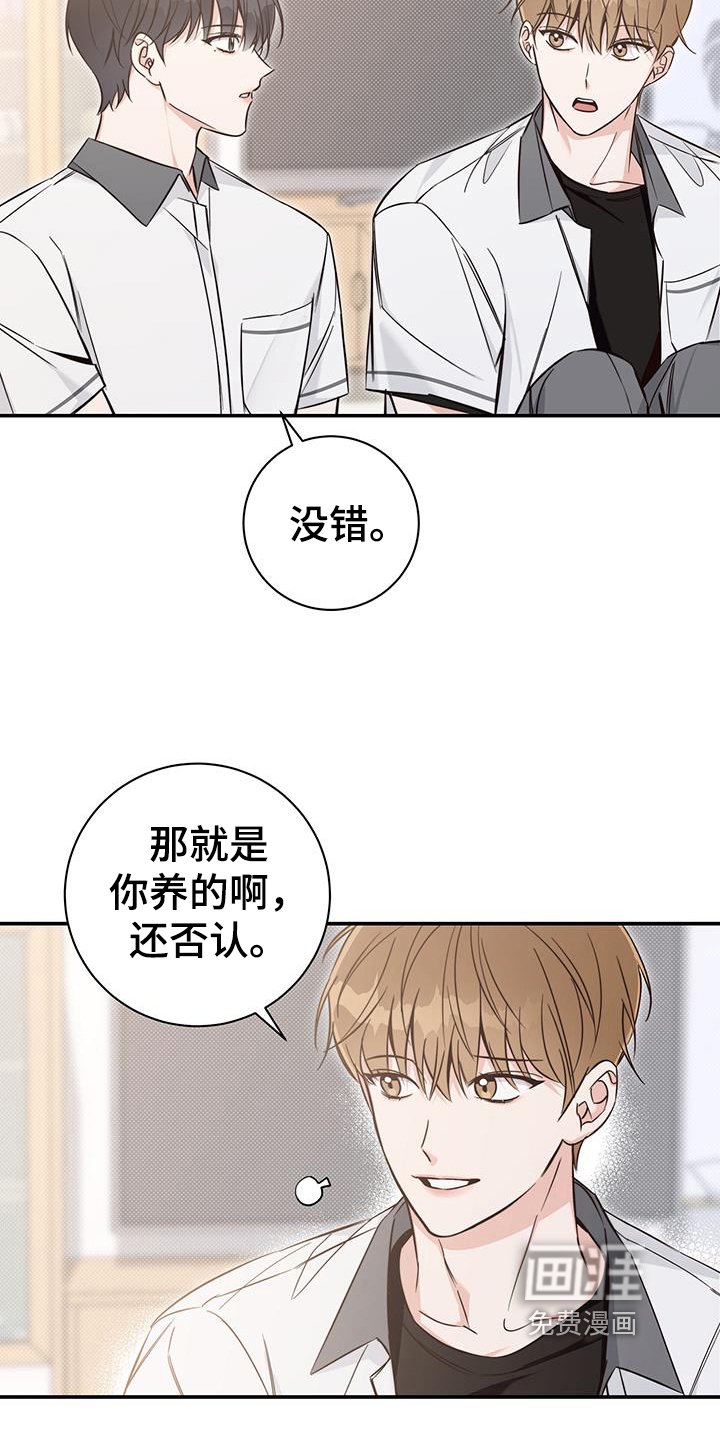 第16章：了解