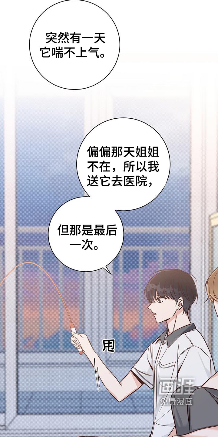 第16章：了解