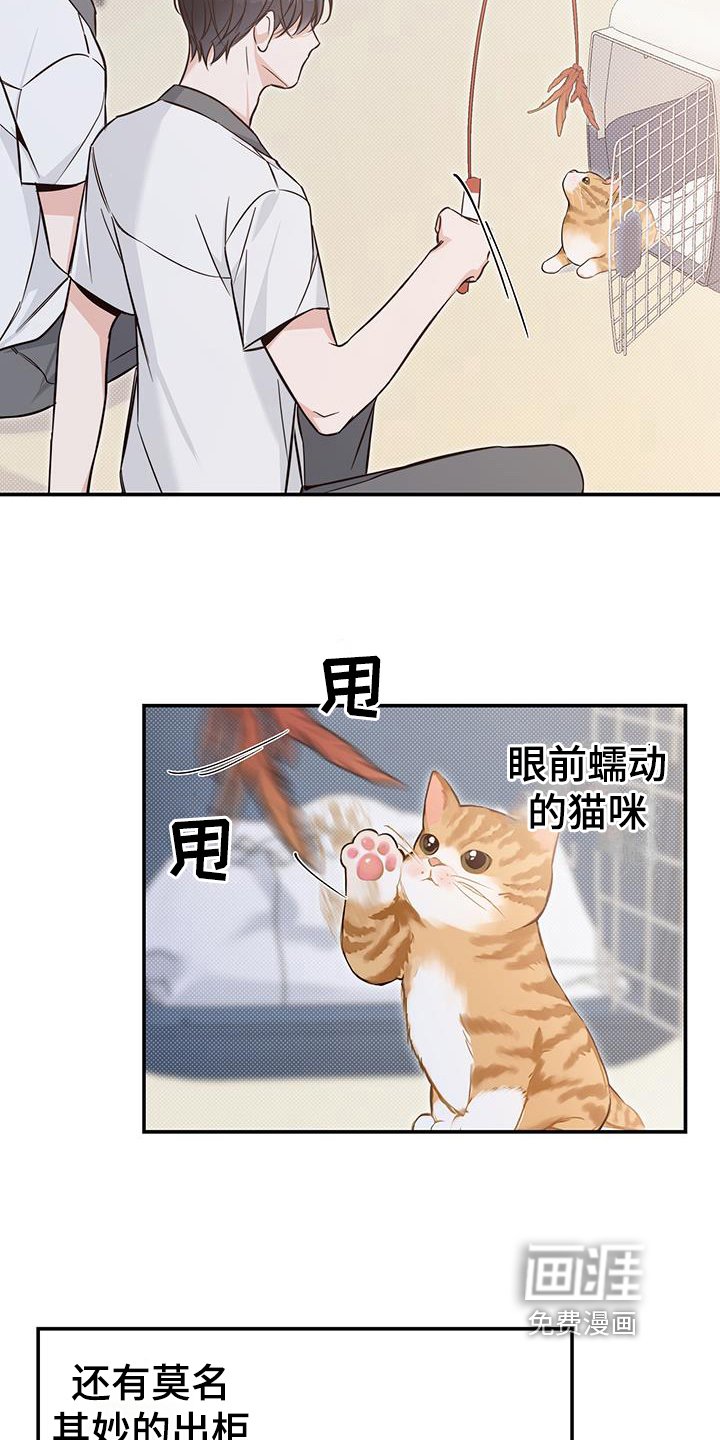 第16章：了解