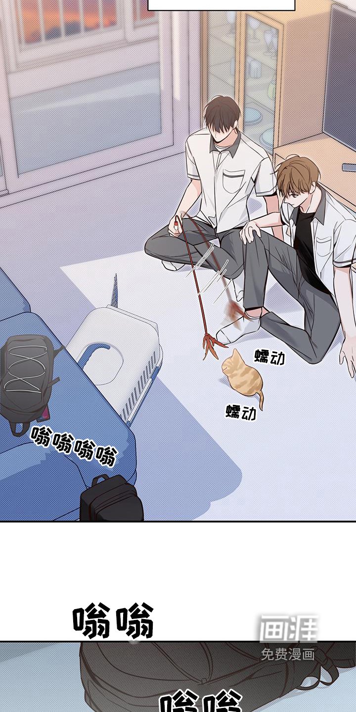 第16章：了解