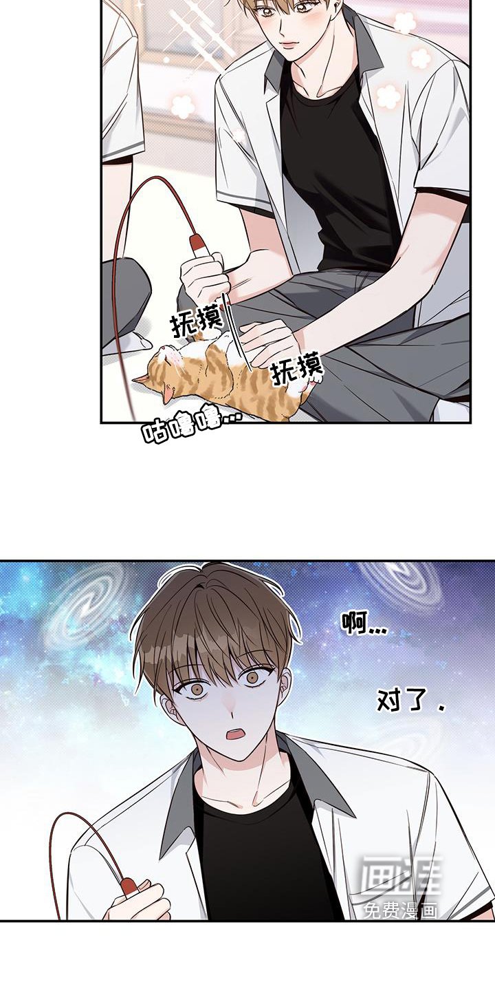 第16章：了解