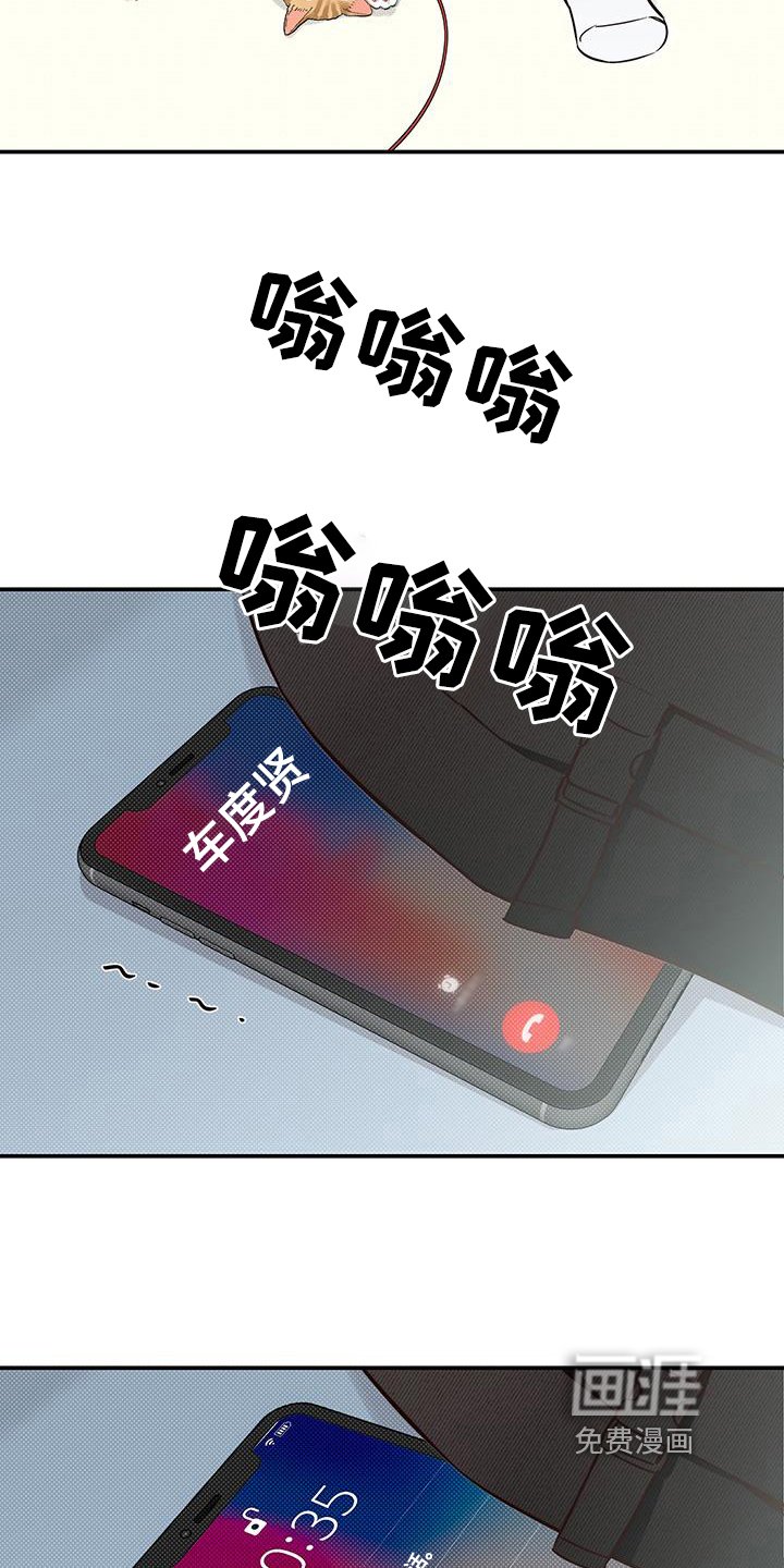 第16章：了解