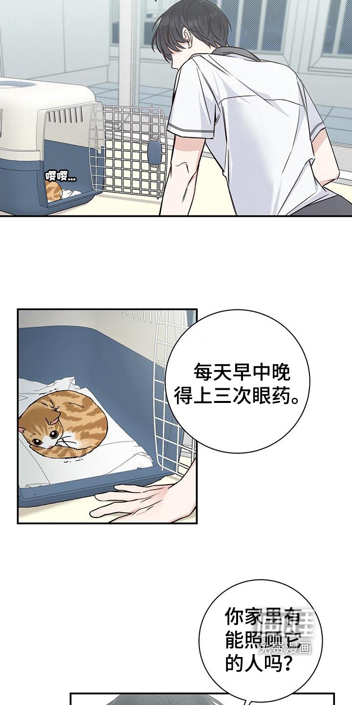 第18章：解决