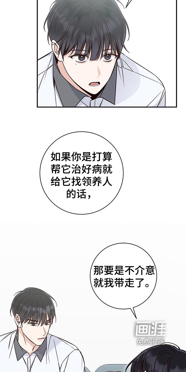 第18章：解决