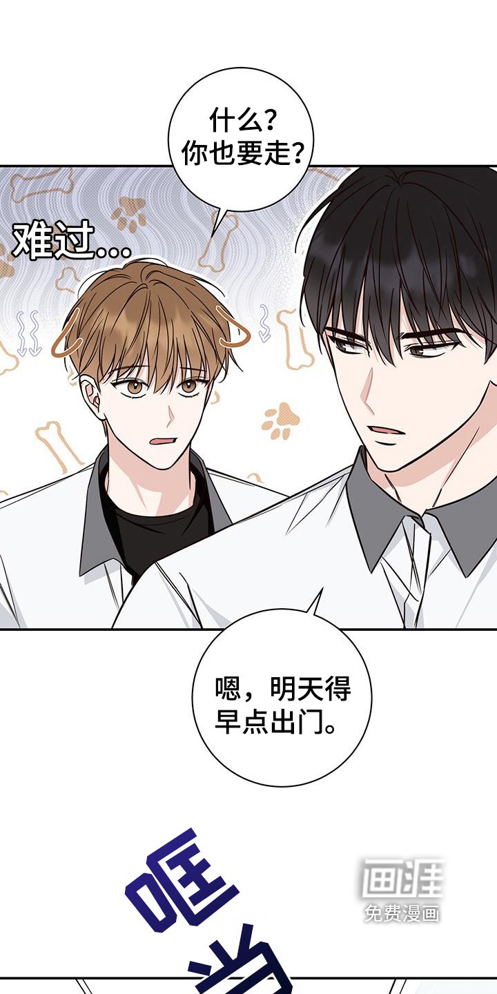 第18章：解决