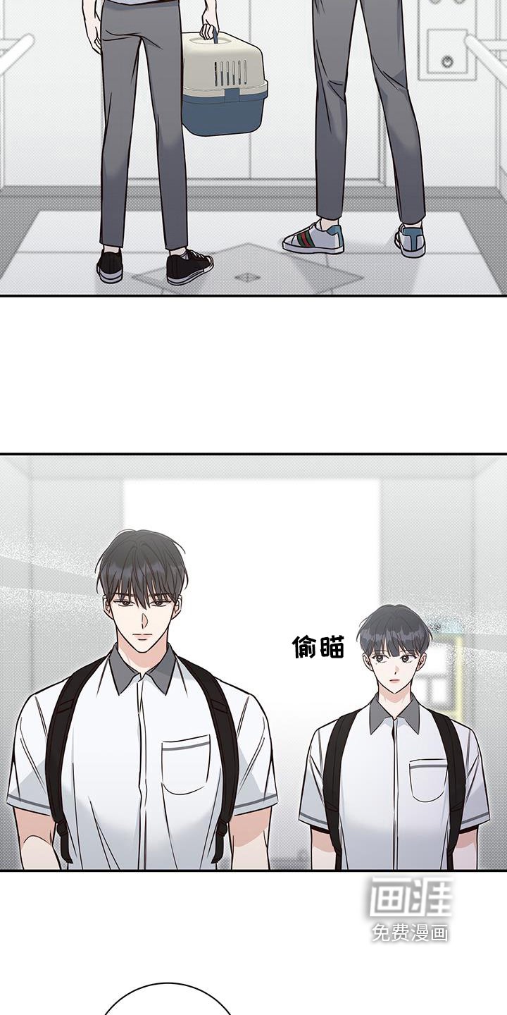 第18章：解决