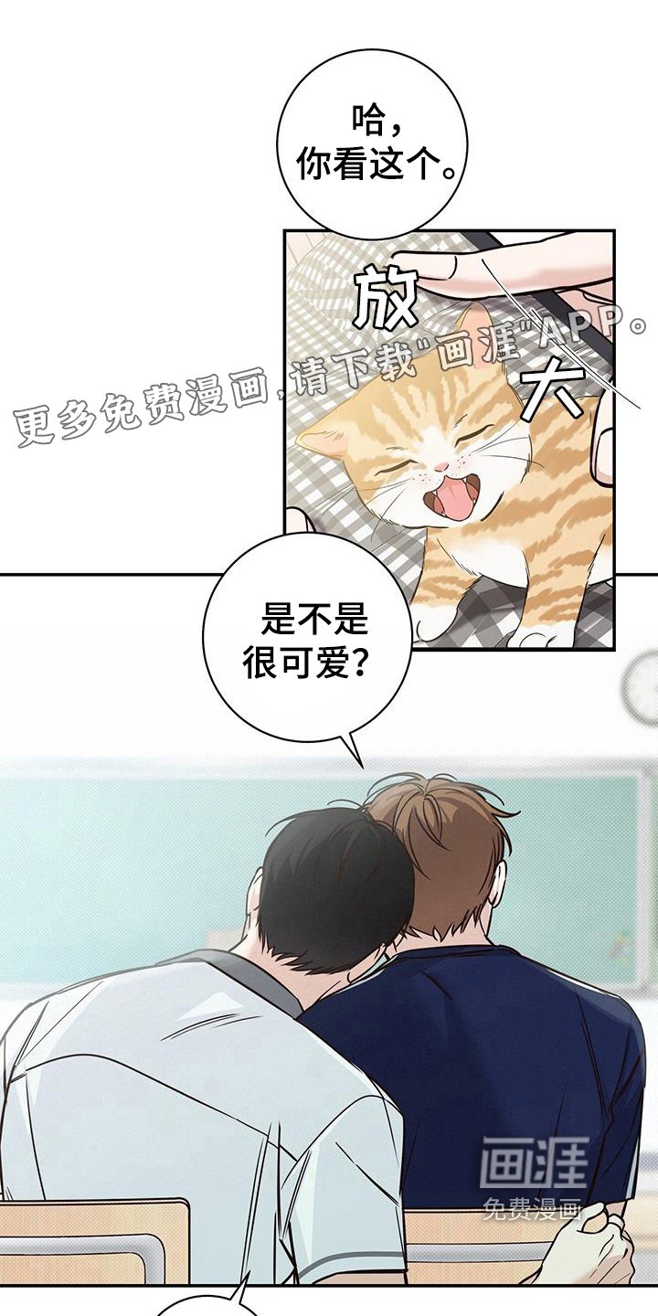 第21章：嫉妒