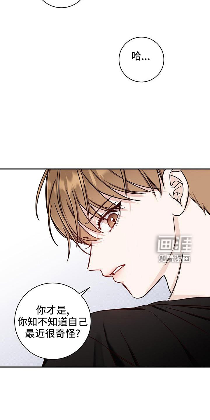 第34章：变奇怪了