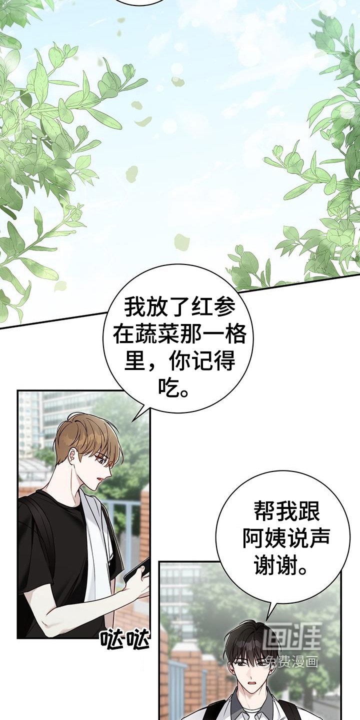 第6章：试探