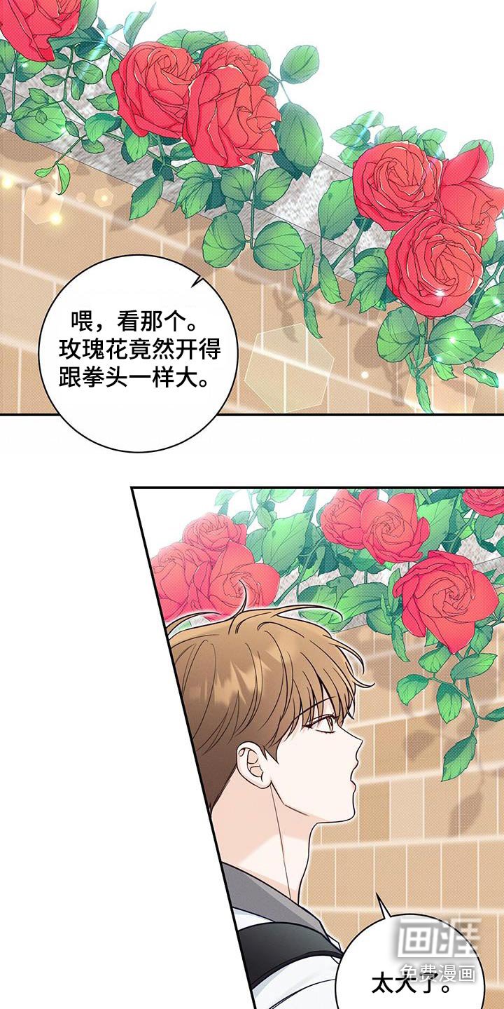 第78章：任性