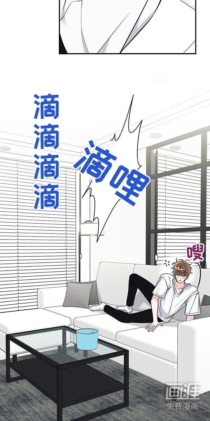 第85章：【番外】用酒打赌