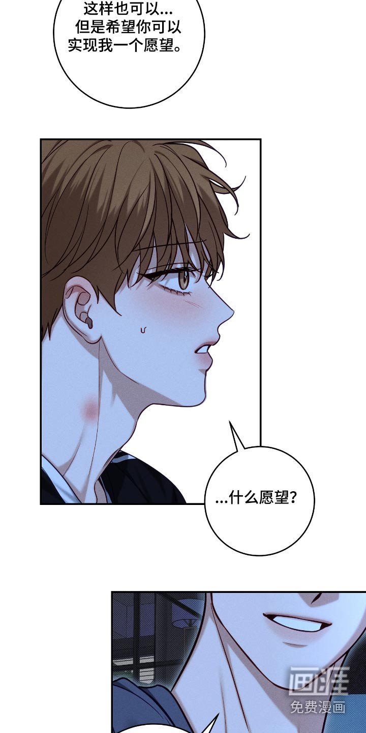 第94章：【番外】答应你一个愿望